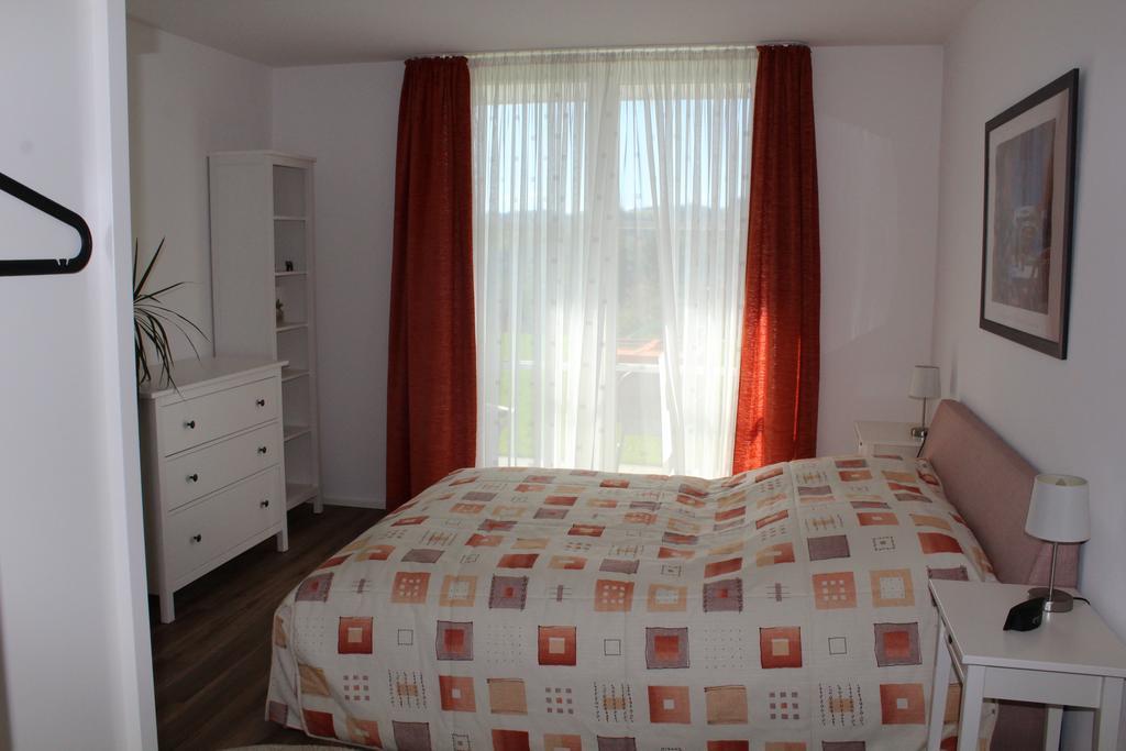 Apartament Dreilaenderblick Lörrach Zewnętrze zdjęcie