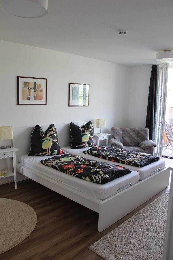 Apartament Dreilaenderblick Lörrach Zewnętrze zdjęcie